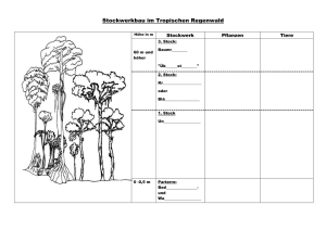 Stockwerkbau im Tropischen Regenwald