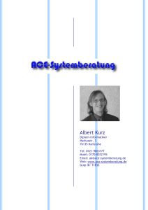 Profil - ACE-Systemberatung