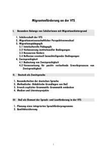 Migrantenförderung an der VTS