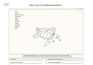 ab-2-loesungsblatt