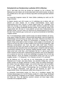 Bericht Sonderschau Mockau 2014