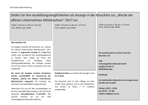 Informationsblatt - Wirtschaft in Mittelsachsen
