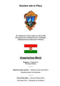Ungarisches Menü - Städtepartnerschaftsverein FELLBACH