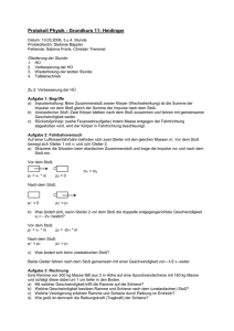 Protokoll Physik - Grundkurs 11- Heidinger