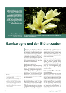 Gambarogno und der Blütenzauber