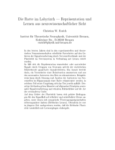 Die Ratte im Labyrinth | Repr asentation und Lernen aus