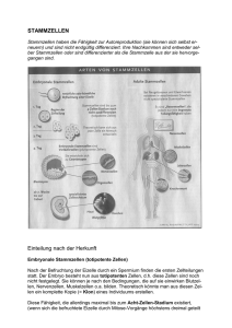 STAMMZELLEN Einteilung nach der Herkunft - doc