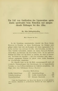 Ein Fall von Ossilication des Ligamentum apicis dentis epistrophei