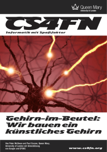 Gehirn-im-Beutel: Wir bauen ein k&uuml;nstliches Gehirn