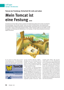 Kolumnenbeitrag 04.2004 zum Thema SecurityManager als