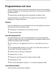 Programmieren mit Java - Vorlesungen