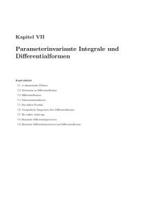 Parameterinvariante Integrale und Differentialformen