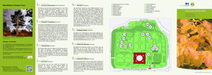 Info-Faltblatt herunterladen - Botanischer Garten Bonn