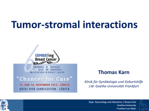 Tumor-stromal interactions