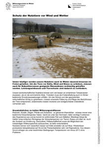 Witterungsschutz - Winter (PDF, 3 Seiten, 736 kB)
