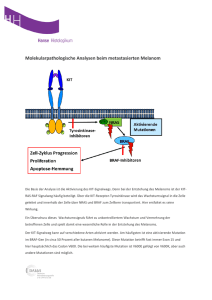 Molekularpathologische Analysen beim metastasierten Melanom