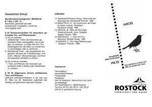Faltblatt Amsel (application/pdf/pdf 307.8 KB)