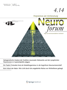 Optogenetische Analyse der Funktion neuronaler Netzwerke und der