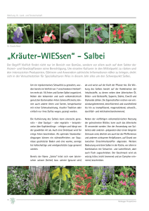 Kräuter-WIESsen - Salbei (3-2012)
