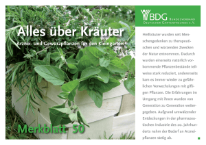 über Kräuter – Merkblatt Nr. 50