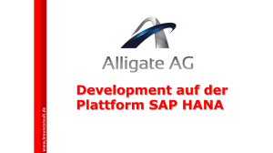 Development auf der Plattform SAP HANA