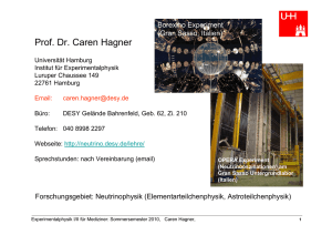 Prof. Dr. Caren Hagner