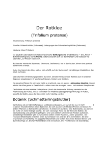 Der Rotklee - WordPress.com