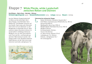Etappe 7 Wilde Pferde, wilde Landschaft zwischen Reken und Dülmen