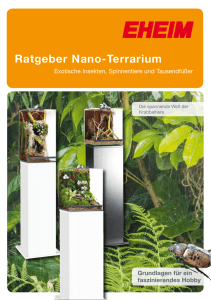 Ratgeber Nano-Terrarium