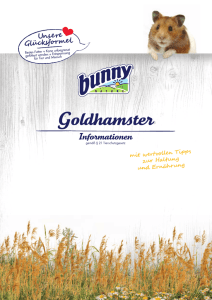 Goldhamster - Bunny Nature