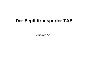 Der Peptidtransporter TAP