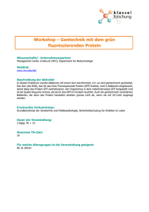 Workshop – Gentechnik mit dem grün fluoreszierenden Protein