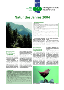 Natur des Jahres 2004 - Schutzgemeinschaft Deutscher Wald