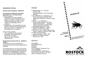 Faltblatt Hornisse (application/pdf/pdf 76.0 KB)
