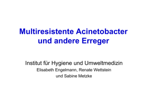 Multiresistente Acinetobacter und andere Erreger