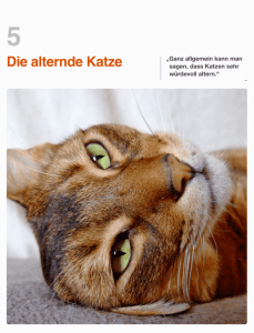 Die alternde Katze