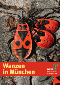 Link zum Heft - BUND Naturschutz Kreisgruppe München