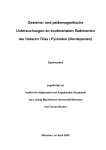 Gesteins- und paläomagnetische Untersuchungen an kontinentalen