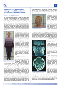 Die Auswirkung cranio-cervikaler Störungen nach