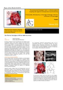 Paper 2 - Anatomische Gesellschaft