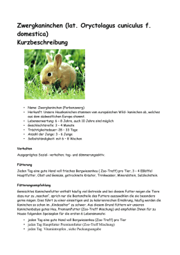 Steckbrief Kaninchen (c) by www.wackelnasen.net Familienordnung