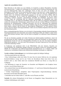 Aspekte der menschlichen Geburt Beim Menschen ist die Geburt