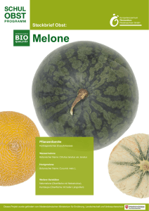 Melone - Bioeinkaufen.de