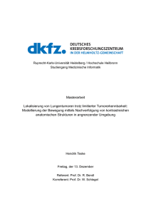 Masterarbeit Lokalisierung von Lungentumoren trotz limitierter