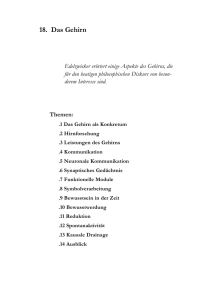 18. Das Gehirn