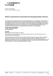 PIK3CA (katalytische Untereinheit der Phosphoinositid