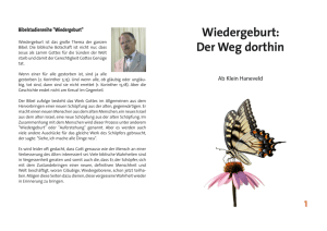 "Wiedergeburt - Der Weg dorthin" in PDF