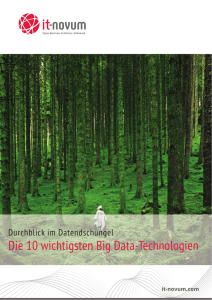 Die 10 wichtigsten Big Data-Technologien - it