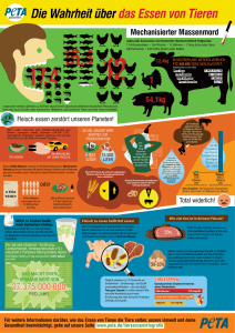 Die Wahrheit über das Essen von Tieren