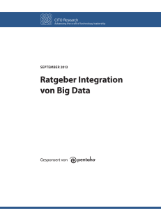 Ratgeber Integration von Big Data
